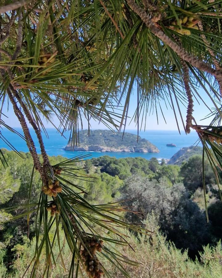 Arenal Leilighet Jávea Eksteriør bilde